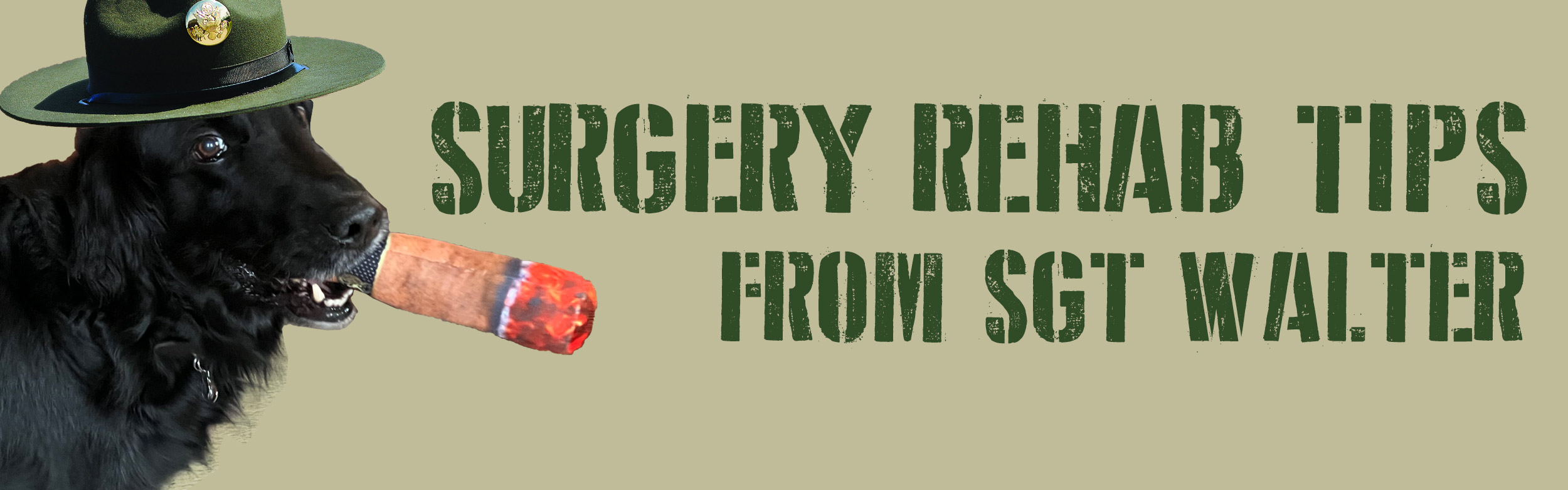 Sergeant Walter's Surgery Rehab Tips